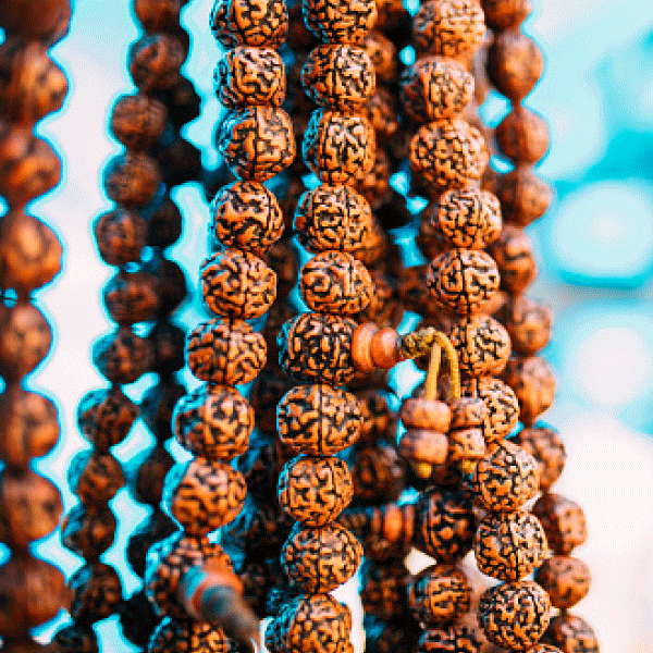 Rudraksha Beads in Deogarh