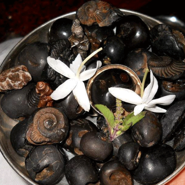 Shaligrams in Saraikela