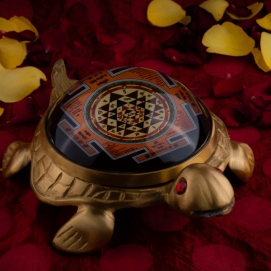 Kavach in Singapore