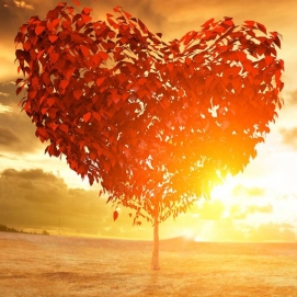 Powerful Love Spells in Ukraine